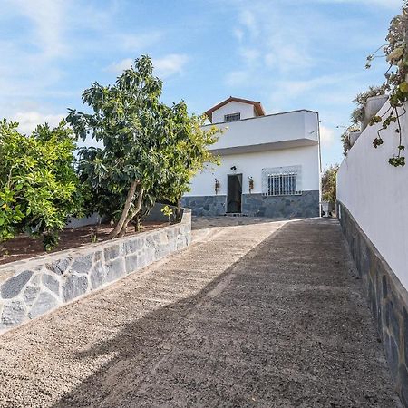Raices Vivas Vivienda Vacacional Vega de San Mateo Exteriér fotografie